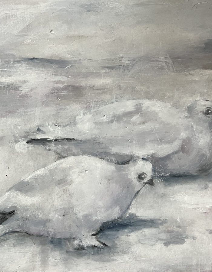 Ryper Ryper - olje på lerret - 60x60 cm